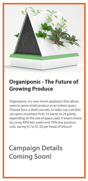 Organiponic